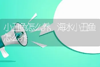 小丑鱼怎么养，海水小丑鱼怎么养