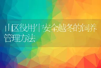 山区役用牛安全越冬的饲养管理方法