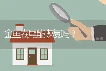 金鱼卷尾能恢复吗？