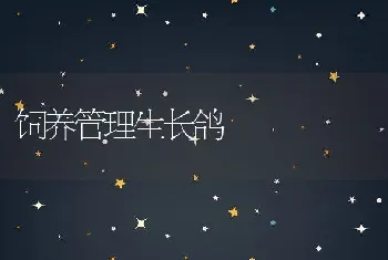 冬季奶山羊的特别护理