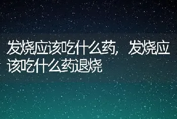 发烧应该吃什么药，发烧应该吃什么药退烧