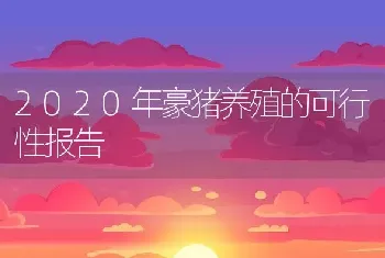 2020年豪猪养殖的可行性报告