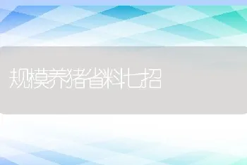 规模养猪省料七招