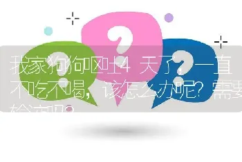 我家狗狗呕吐4天了，一直不吃不喝，该怎么办呢？需要输液吗？