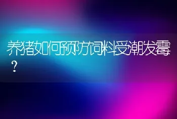 养猪如何预防饲料受潮发霉？