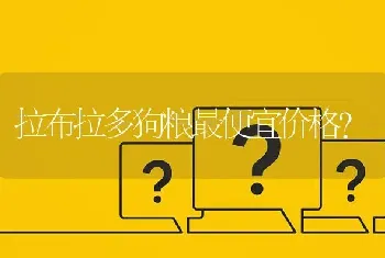 拉布拉多狗粮最便宜价格？