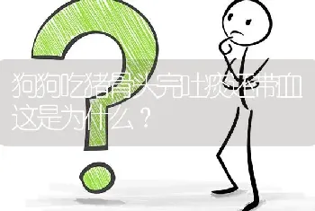 狗狗吃猪骨头完吐痰还带血这是为什么？