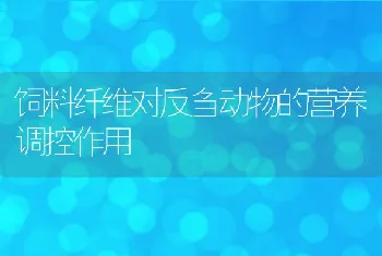 饲料纤维对反刍动物的营养调控作用