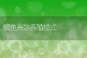 鲫鱼高效养殖模式