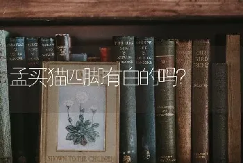 孟买猫四脚有白的吗？