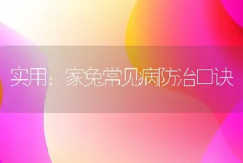 实用：家兔常见病防治口诀