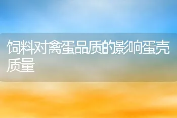 饲料对禽蛋品质的影响蛋壳质量