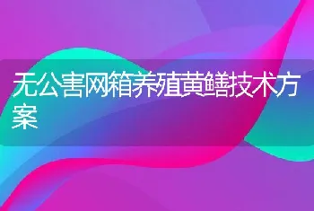 无公害网箱养殖黄鳝技术方案