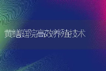 黄鳝庭院高效养殖技术