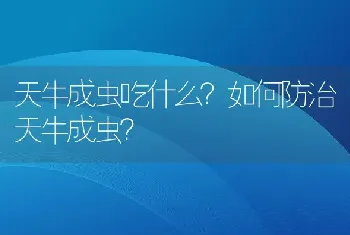 天牛成虫吃什么？如何防治天牛成虫？