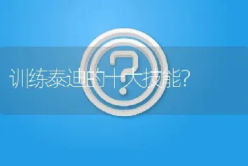 训练泰迪的十大技能？