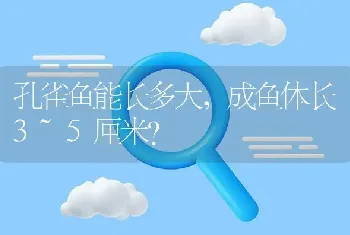 孔雀鱼能长多大，成鱼体长3~5厘米？