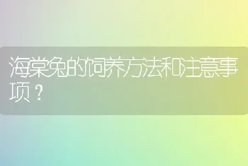 黑色的，母的，请大家给我的爱犬取个好听的名字，谢谢？