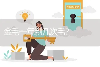 金毛一年剃几次毛？