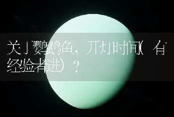 关于鹦鹉鱼，开灯时间(有经验者进)？