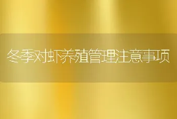 冬季对虾养殖管理注意事项