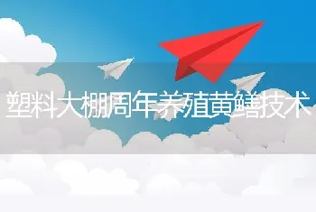 塑料大棚周年养殖黄鳝技术