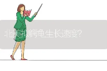 北美拟鳄龟生长速度？