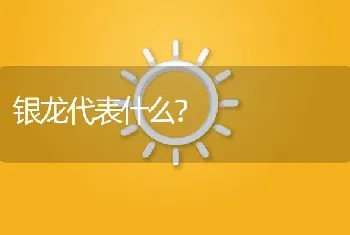 银龙代表什么？