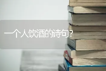 一个人饮酒的诗句？