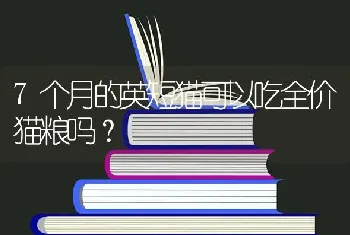 7个月的英短猫可以吃全价猫粮吗？