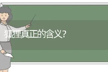 狐狸真正的含义？