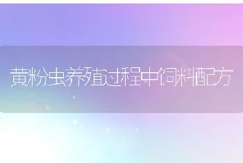 黄粉虫养殖过程中饲料配方