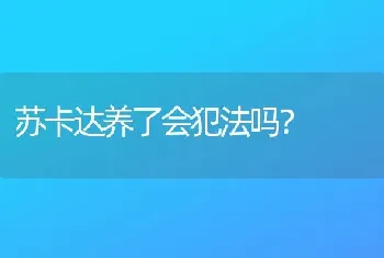 苏卡达养了会犯法吗？