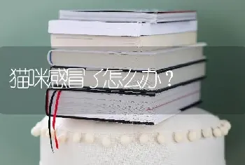 母狗生完小狗不让人看怎么办？