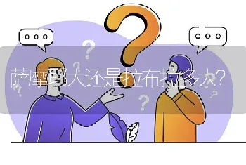 萨摩耶大还是拉布拉多大？