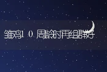 加州鲈养殖技术及病害防治