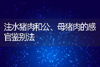 注水猪肉和公、母猪肉的感官鉴别法