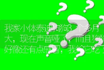 我家小体泰迪狗狗3个多月大，现在声音哑了，而且狗狗好像还有点感冒，我给它吃了阿莫西林和999感冒颗？