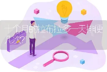 我家拉布拉多狗狗才1个月，怎么能训练他？