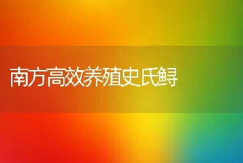 南方高效养殖史氏鲟