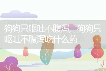 狗狗只呕吐不腹泻，狗狗只呕吐不腹泻吃什么药