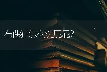 普通的狗吐，不吃饭，不喝水，趴了一上午一动不动，是怎么了？