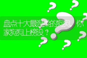 盘点十大最温柔的狗狗，你家狗狗上榜没？