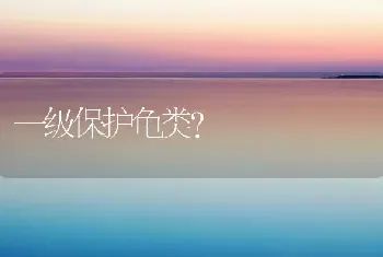 一级保护龟类？