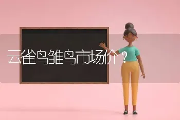 云雀鸟雏鸟市场价？