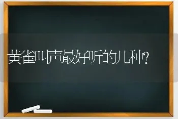 黄雀叫声最好听的几种？