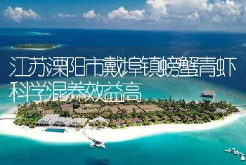 江苏溧阳市戴埠镇螃蟹青虾科学混养效益高