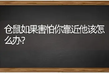 仓鼠如果害怕你靠近他该怎么办？