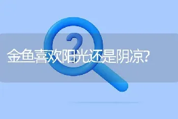 金鱼喜欢阳光还是阴凉？