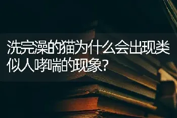 洗完澡的猫为什么会出现类似人哮喘的现象？